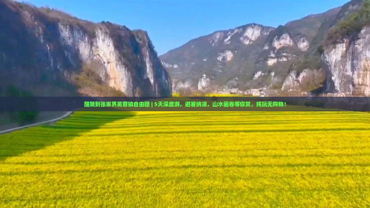 醴陵到张家界芙蓉镇自由团