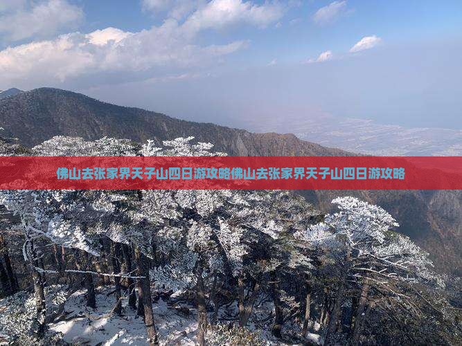 佛山去张家界天子山四日游