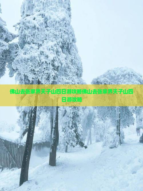 佛山去张家界天子山四日游