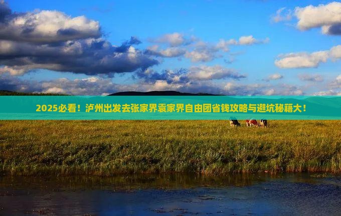 泸州去张家界袁家界自由团