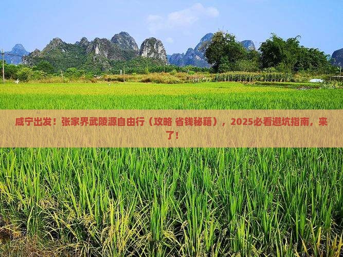 咸宁去张家界武陵源自由团