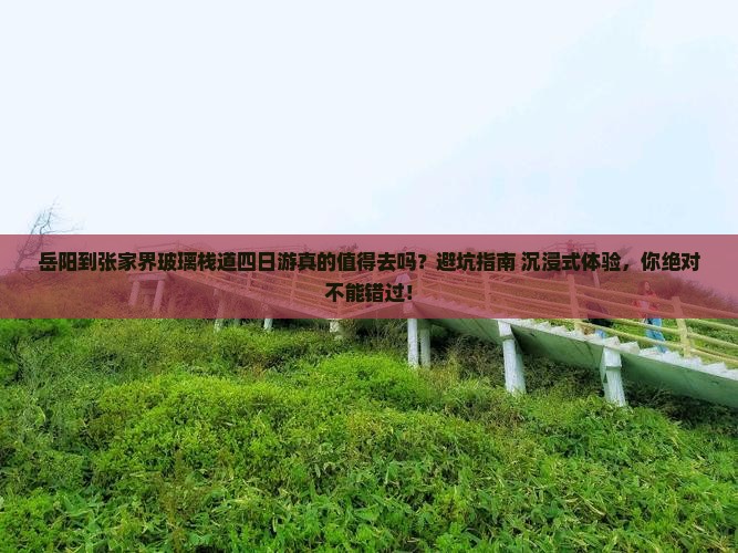 岳阳到张家界玻璃栈道四日游