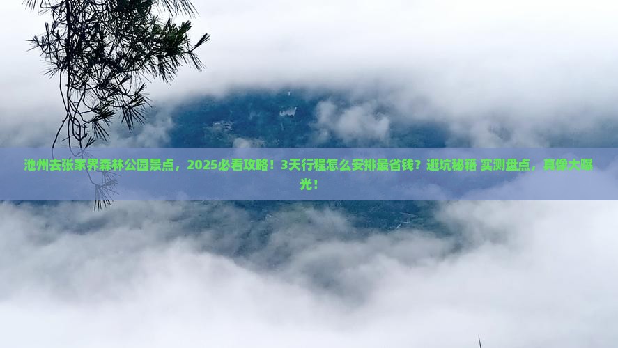 池州去张家界森林公园景点