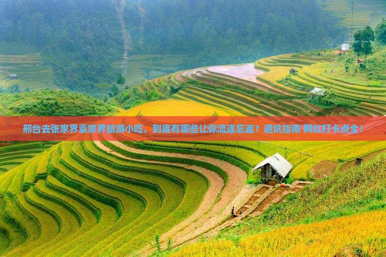 邢台去张家界袁家界旅游小吃