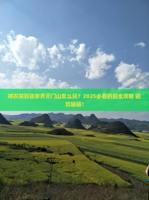 神农架去张家界天门山攻略