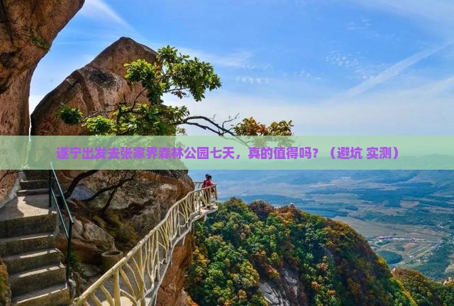 遂宁去张家界森林公园七日游