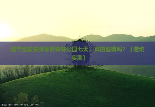 遂宁去张家界森林公园七日游