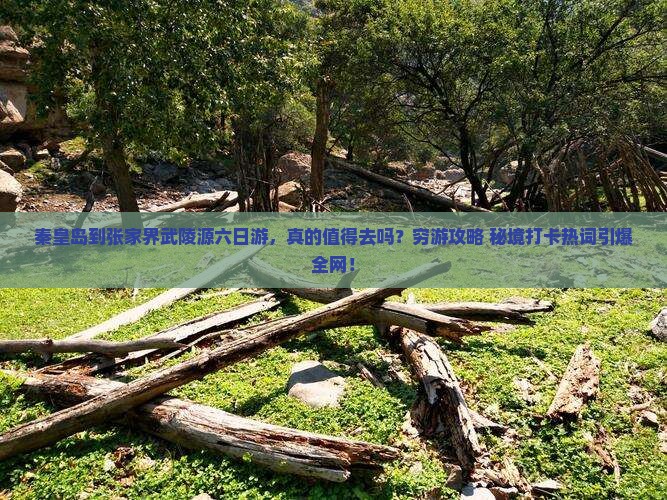 秦皇岛到张家界武陵源六日游