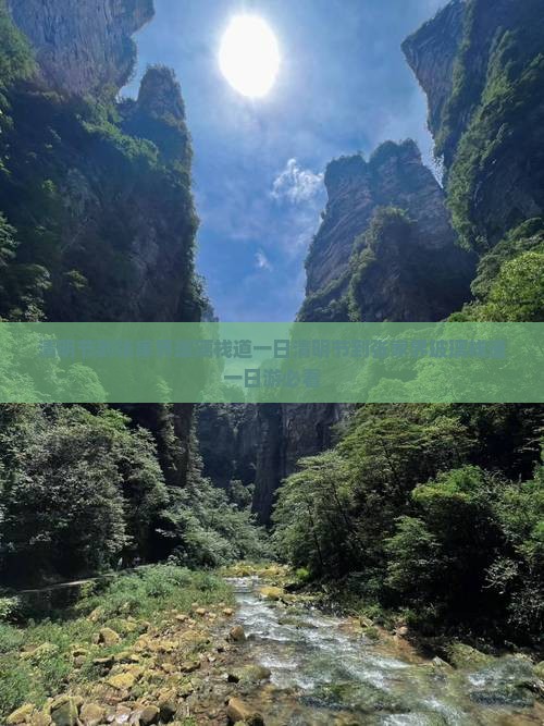 清明节到张家界玻璃栈道一日