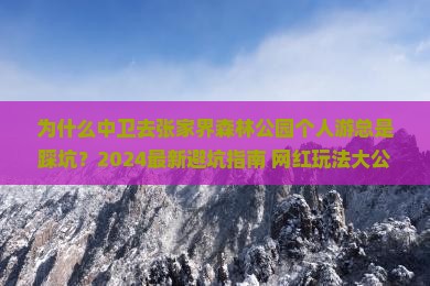 中卫去张家界森林公园个人游