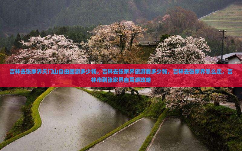 吉林去张家界天门山自由团