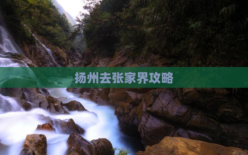 扬州去张家界攻略