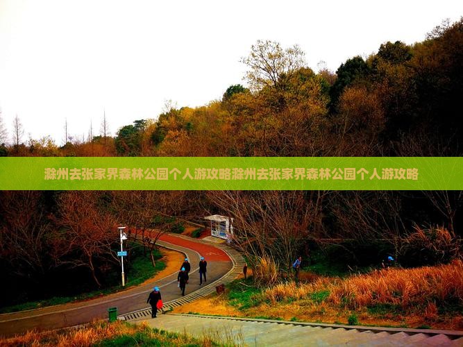 滁州去张家界森林公园个人游