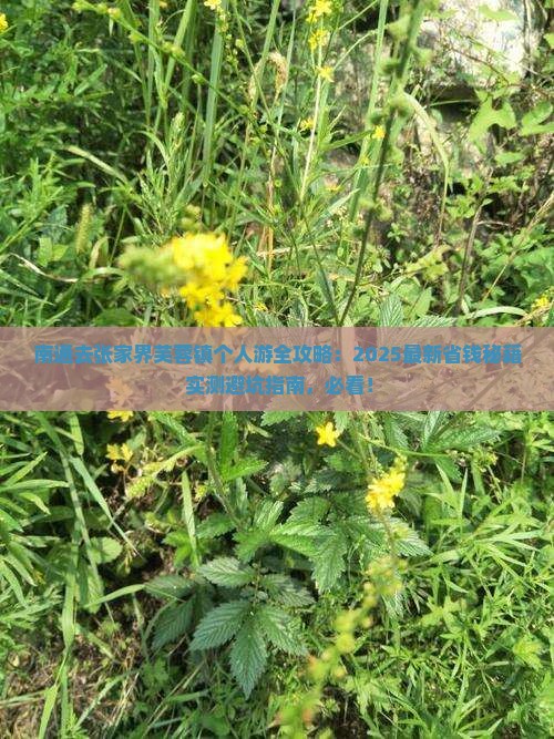 南通去张家界芙蓉镇个人游