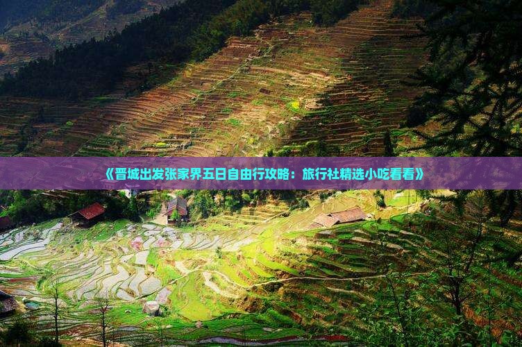 《晋城出发张家界五日自由行攻略：旅行社精选小吃看看》
