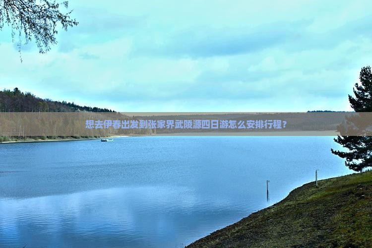想去伊春出发到张家界武陵源四日游怎么安排行程？