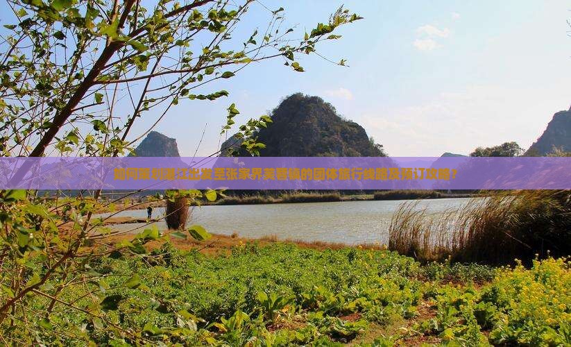 如何策划湛江出发至张家界芙蓉镇的团体旅行线路及预订攻略？