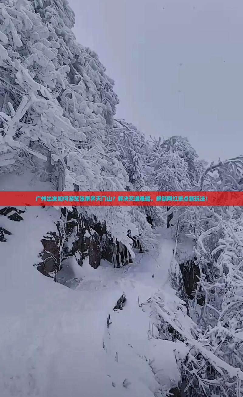 广州出发如何游览张家界天门山？解决交通难题，解锁网红景点新玩法！