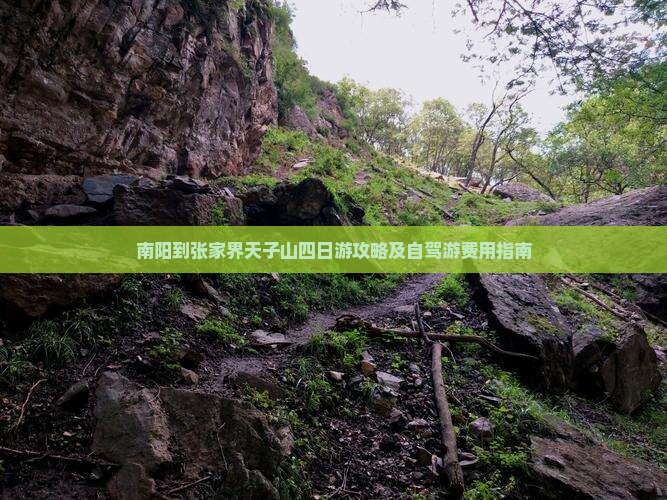 南阳到张家界天子山四日游攻略及自驾游费用指南
