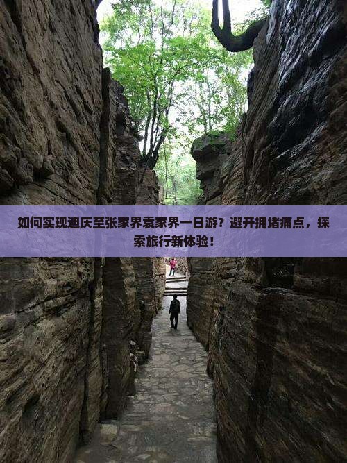 如何实现迪庆至张家界袁家界一日游？避开拥堵痛点，探索旅行新体验！