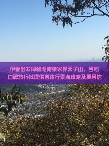 伊春出发探秘湖南张家界天子山，当地口碑旅行社提供自由行景点攻略及费用信息，看看哪家比较好—张家界旅游