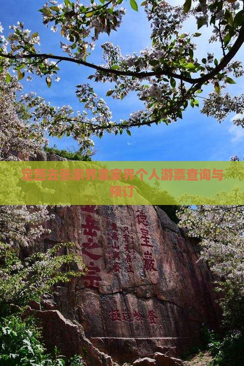 定西去张家界袁家界个人游票查询与预订