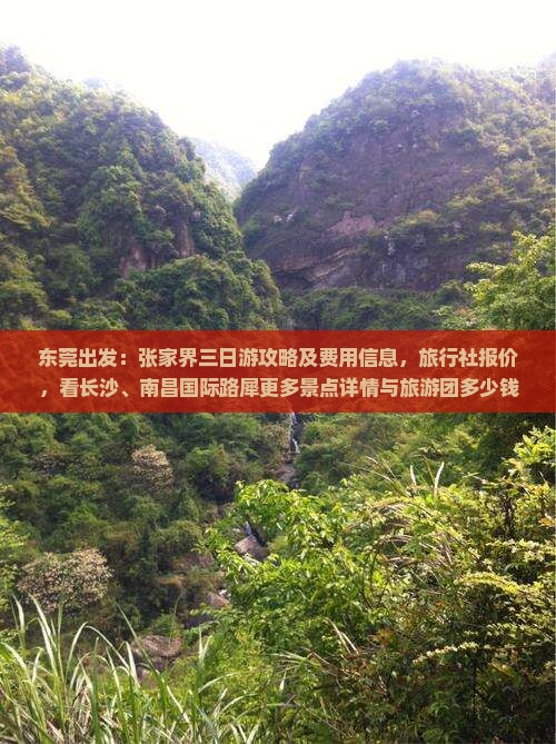 东莞出发：张家界三日游攻略及费用信息，旅行社报价，看长沙、南昌国际路犀更多景点详情与旅游团多少钱一览