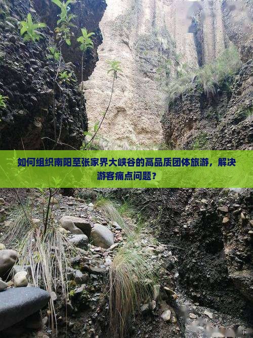 如何组织南阳至张家界大峡谷的高品质团体旅游，解决游客痛点问题？