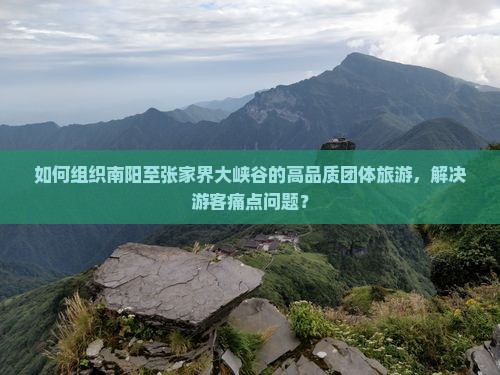 如何组织南阳至张家界大峡谷的高品质团体旅游，解决游客痛点问题？