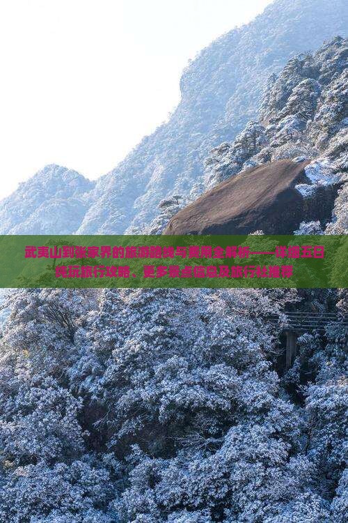 武夷山到张家界的旅游路线与费用全解析——详细五日纯玩旅行攻略、更多景点信息及旅行社推荐