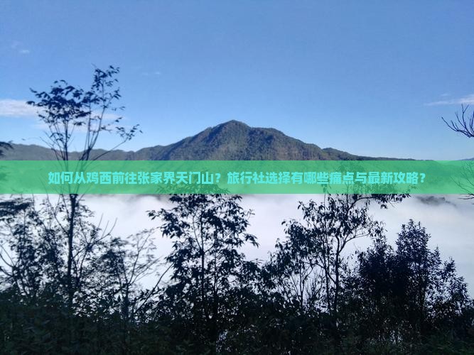 如何从鸡西前往张家界天门山？旅行社选择有哪些痛点与最新攻略？