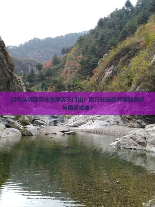 如何从鸡西前往张家界天门山？旅行社选择有哪些痛点与最新攻略？
