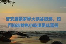 吉安至张家界大峡谷旅游，如何挑选特色小吃满足味蕾需求？