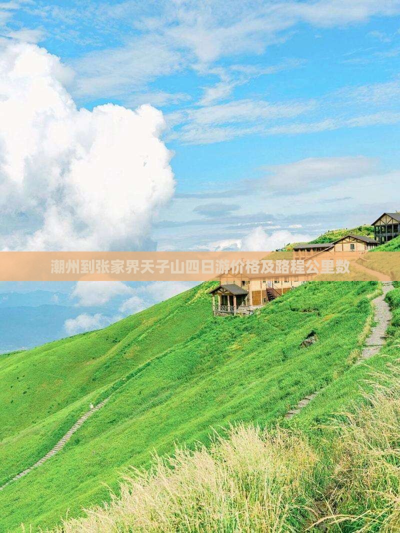 潮州到张家界天子山四日游价格及路程公里数