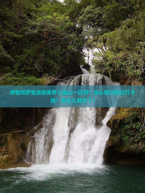 伊犁哈萨克去张家界七星山一日游？担心错过网红打卡地？来这儿就对了！
