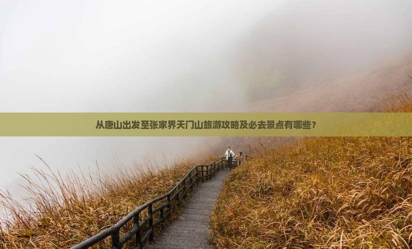 从唐山出发至张家界天门山旅游攻略及必去景点有哪些？