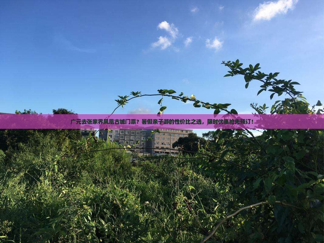 广元去张家界凤凰古城门票？暑假亲子游的性价比之选，限时优惠抢先预订！