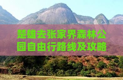 楚雄去张家界森林公园自由行路线及攻略