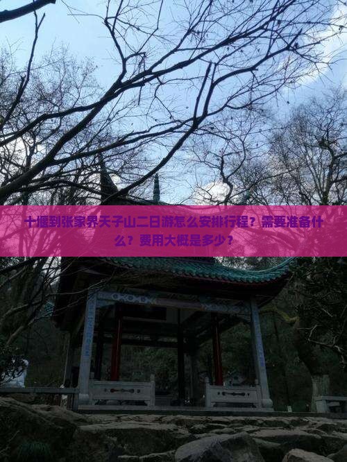 十堰到张家界天子山二日游怎么安排行程？需要准备什么？费用大概是多少？