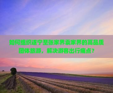 如何组织遂宁至张家界袁家界的高品质团体旅游，解决游客出行痛点？