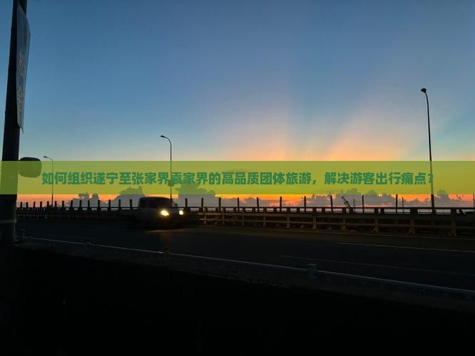 如何组织遂宁至张家界袁家界的高品质团体旅游，解决游客出行痛点？