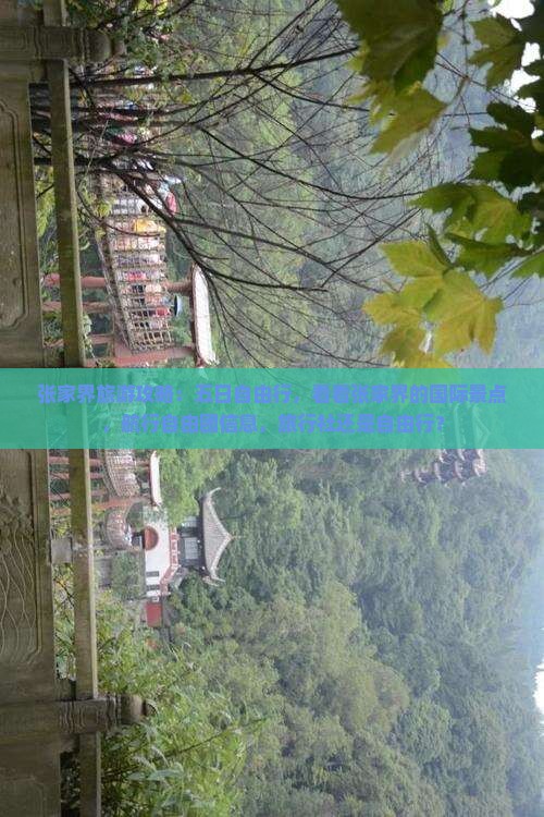 张家界旅游攻略：五日自由行，看看张家界的国际景点，航行自由团信息，旅行社还是自由行？