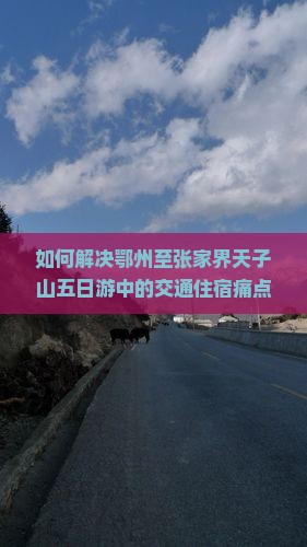 如何解决鄂州至张家界天子山五日游中的交通住宿痛点，实现高品质旅行体验？