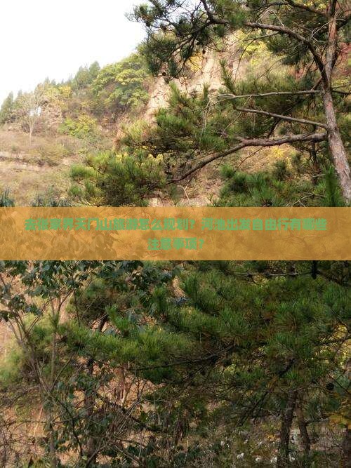 去张家界天门山旅游怎么规划？河池出发自由行有哪些注意事项？