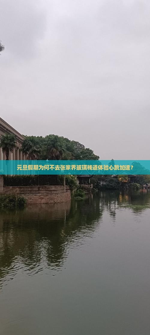 元旦假期为何不去张家界玻璃栈道体验心跳加速？
