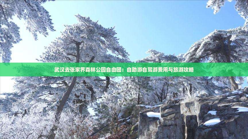 武汉去张家界森林公园自由团：自助游自驾游费用与旅游攻略