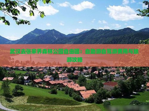 武汉去张家界森林公园自由团：自助游自驾游费用与旅游攻略