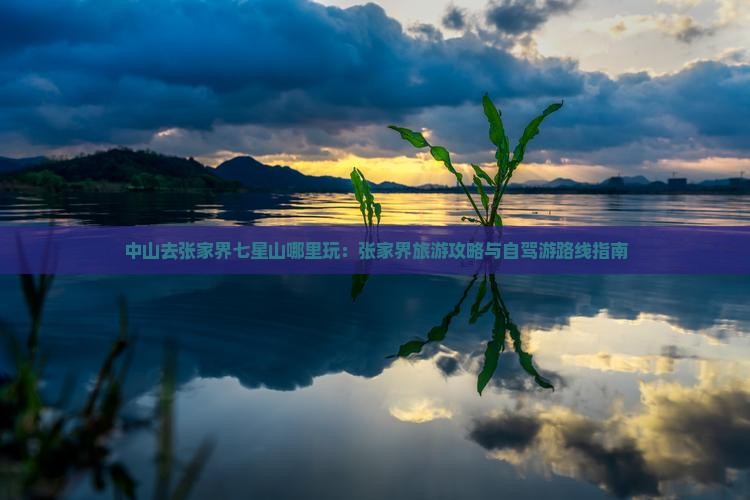 中山去张家界七星山哪里玩：张家界旅游攻略与自驾游路线指南
