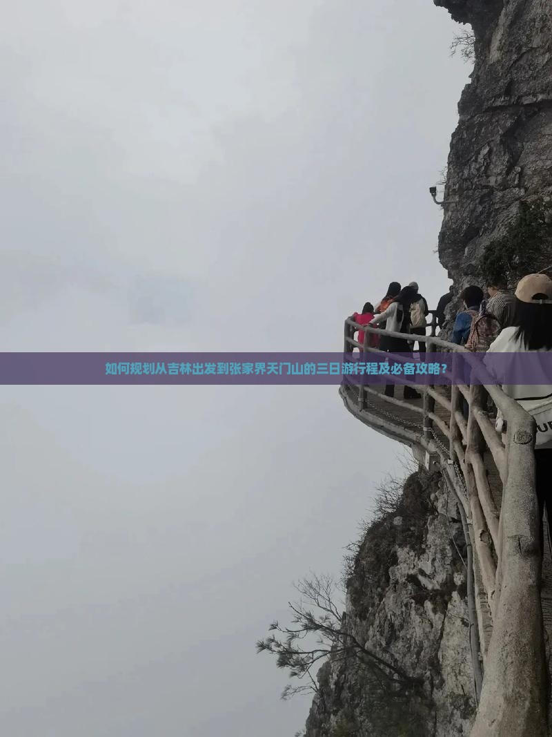 如何规划从吉林出发到张家界天门山的三日游行程及必备攻略？