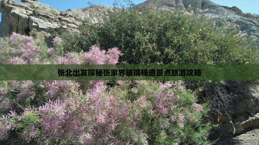张北出发探秘张家界玻璃栈道景点旅游攻略